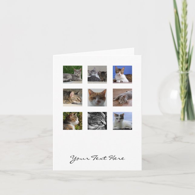 Cat Greeting Card (Front)