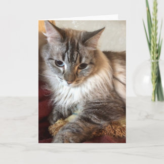 Cat greeting card