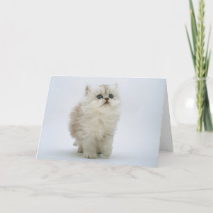 Cat Greeting Card