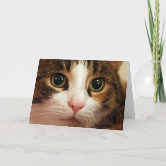 Cat Greeting Card (Front)