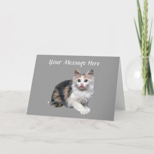 Cat Greeting Card