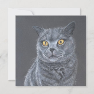 Cat Greeting card. Holiday Card