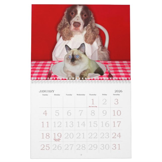 Cat Grinder Wall Calendar (Jan 2026)