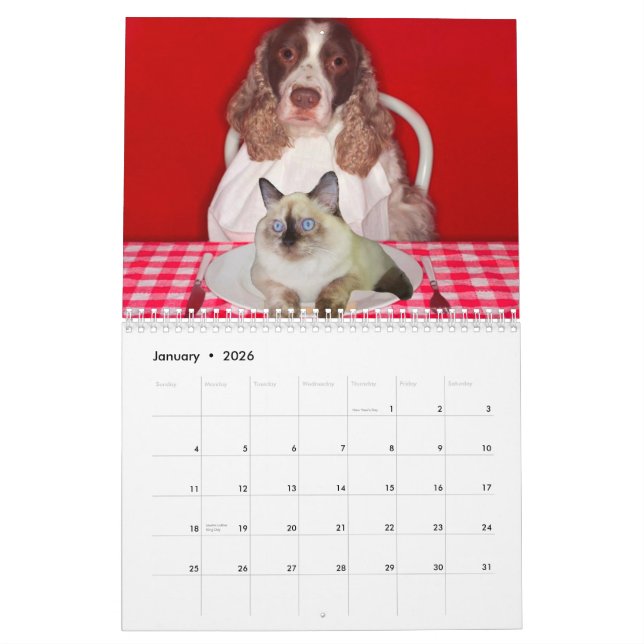 Cat Grinder Wall Calendar (Jan 2026)