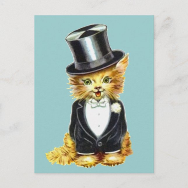Cat Groom Postcard (Front)
