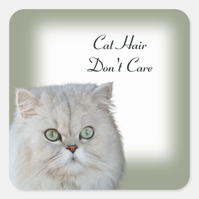 Cat Hair Don't Care Stickers (Front)