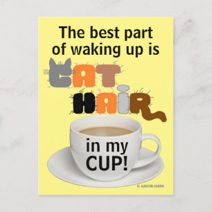 Cat Hair in my Cup! Humourous Cat Lover Postcard