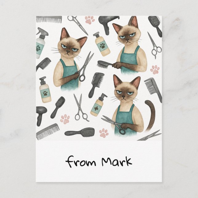 Cat Hairdresser  Postcard (Front)