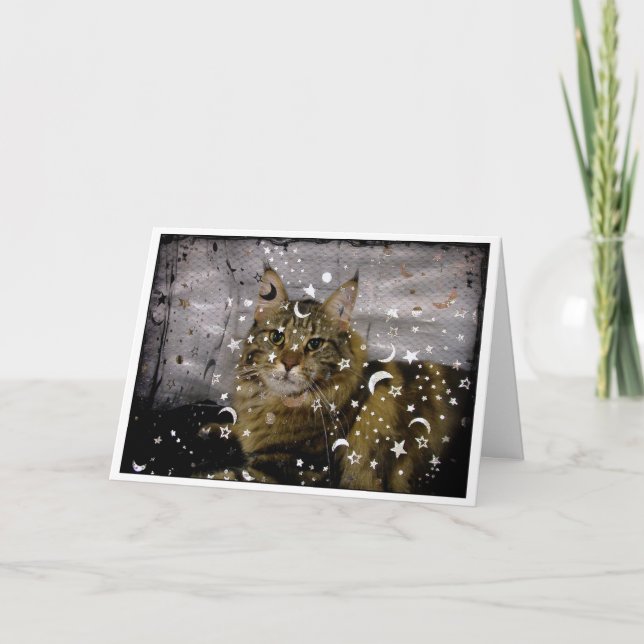 Cat Halloween or any-occasion greeting card (Front)