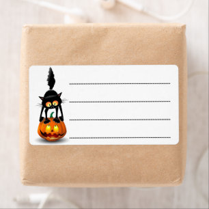 Cat Halloween Scared Cartoon on Pumpkin