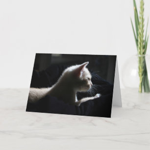 Cat Happy Birthday Card