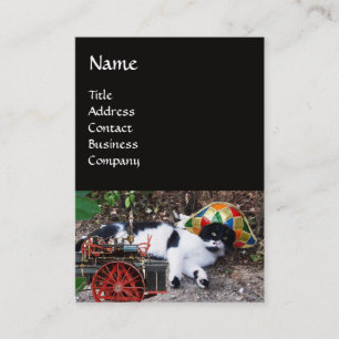 CAT , HARLEQUIN HAT AND VINTAGE STEAM LOCOMOTIVE BUSINESS CARD