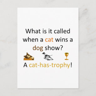 Cat-has-trophy Postcard