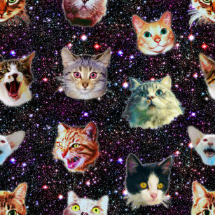 Space Cats Wrapping Paper Zazzle Uk