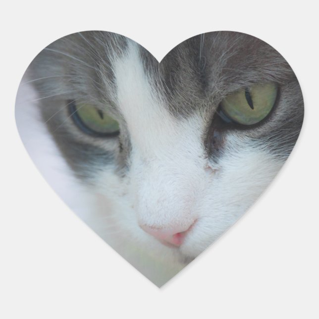 cat heart sticker (Front)