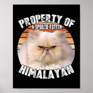 Cat Himalayan Property Vintage Eighties Style Cat Poster