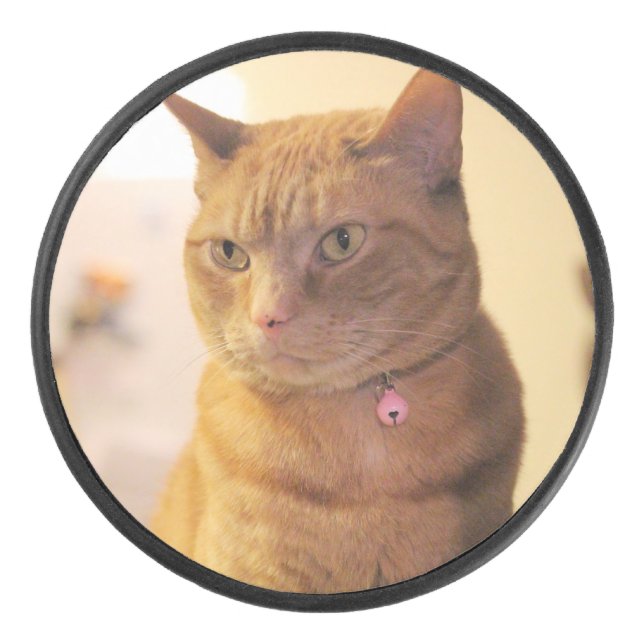 Cat  hockey puck (Front)