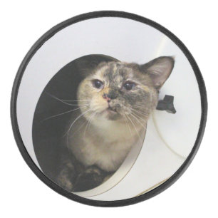 Cat Hockey Puck