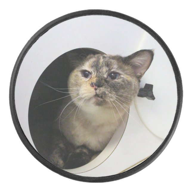 Cat Hockey Puck (Front)