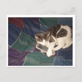 Cat hogging remote postcard