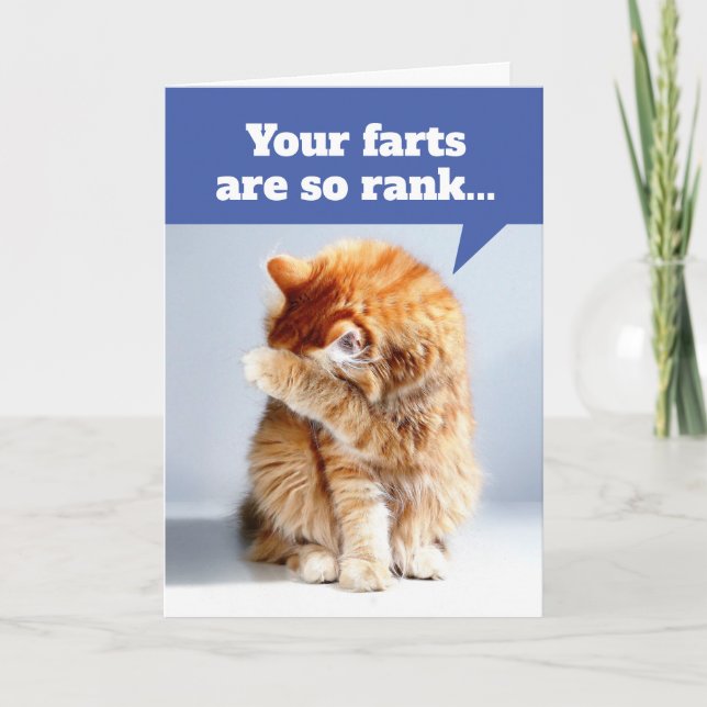 Cat Holding Nose Due To Smelly Farts Birthday Card (Front)