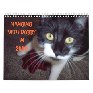 CAT HUMOR CALENDAR