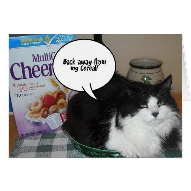 Cat Humour (Front Horizontal)