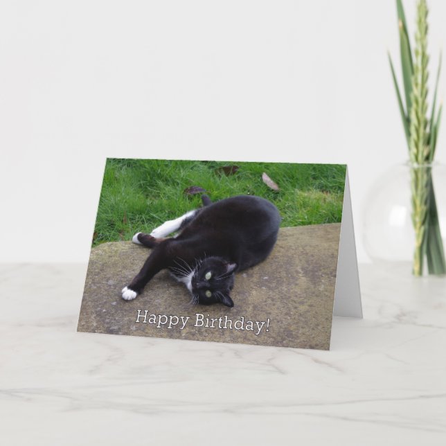 Cat Humour Birthday Card (Front)