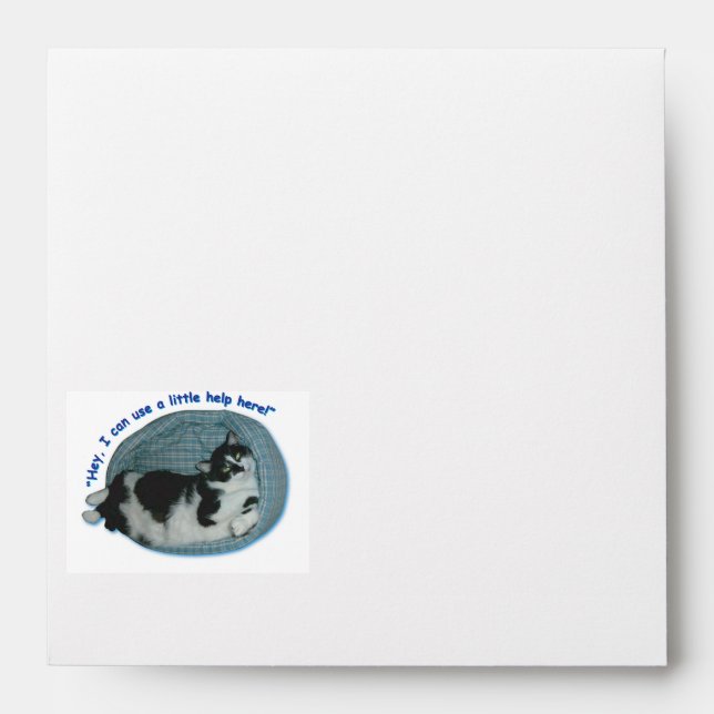 Cat Humour Envelopes (Front)