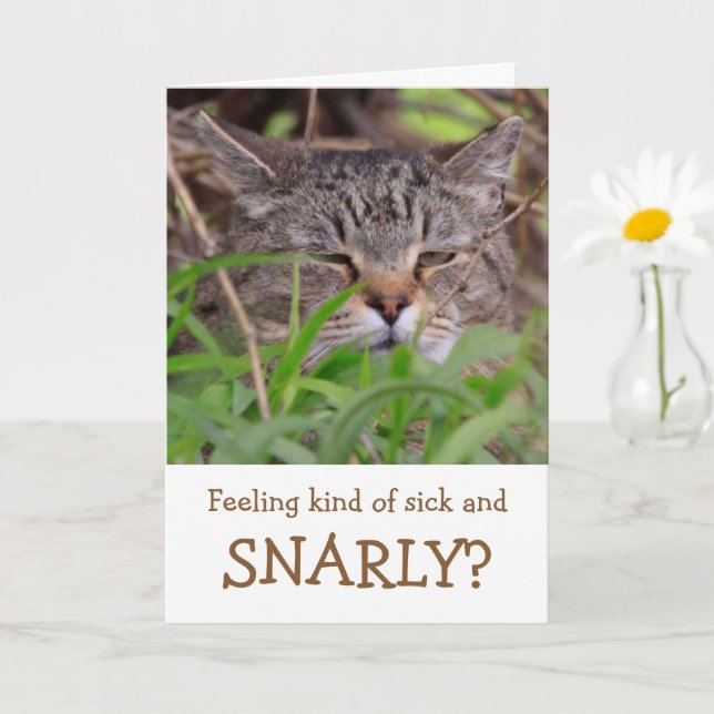 Cat Humour Get Well Card (Small Plant)