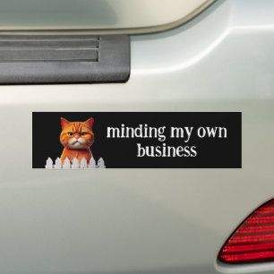 Cat Humour --Minding my own business Bumper Sticker