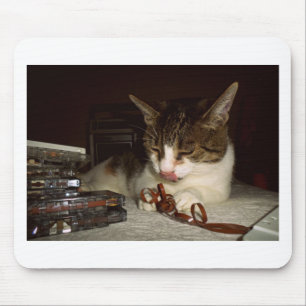 Cat Hungry For Cassettes Mouse Mat