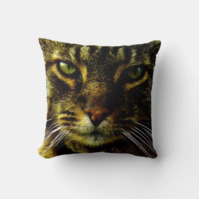 Cat Hypnitizing Eyes Photo Cushion (Front)