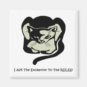 Cat: I Am The Exception To The Rules! Magnet
