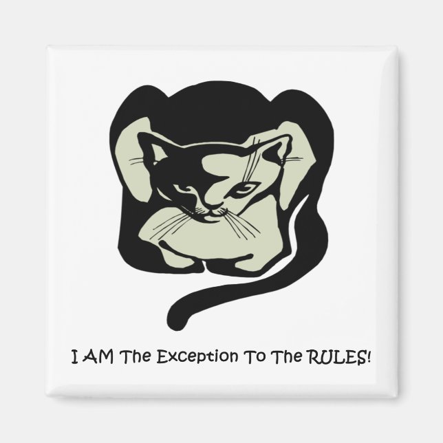 Cat: I Am The Exception To The Rules! Magnet (Front)