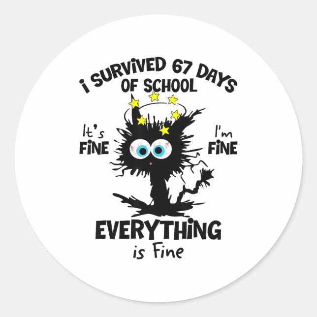 Cat I Survived 67 Days Of School Teachers Students Classic Round Sticker (Front)