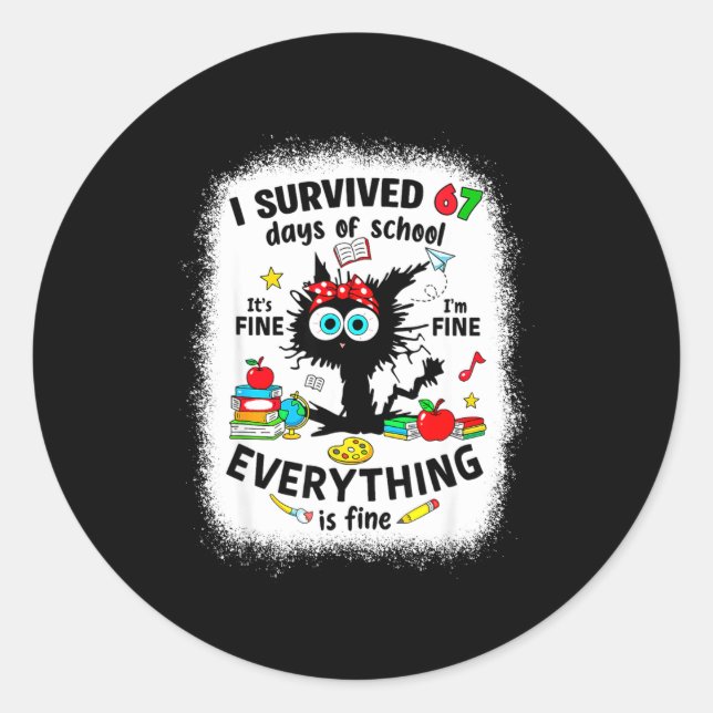 Cat I Survived 67 Days Of School Teachers Students Classic Round Sticker (Front)