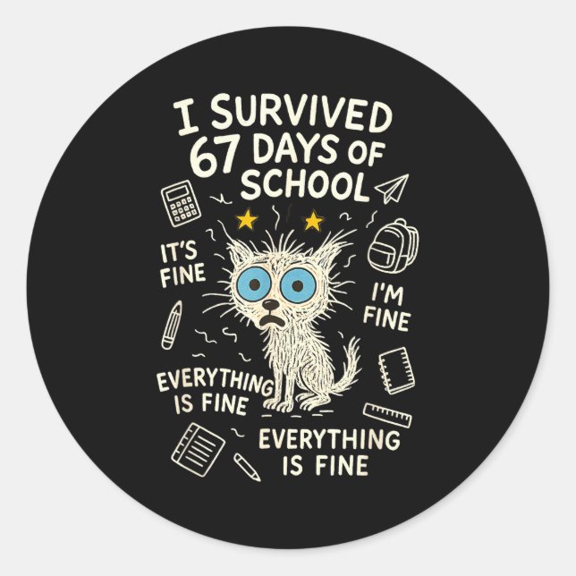 Cat I Survived 67 Days Of School Teachers Students Classic Round Sticker (Front)