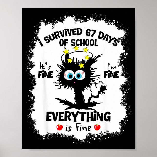 Cat I Survived 67 Days Of School Teachers Students Poster (Front)