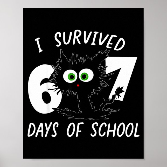 Cat I Survived 67 Days Of School Teachers Students Poster (Front)