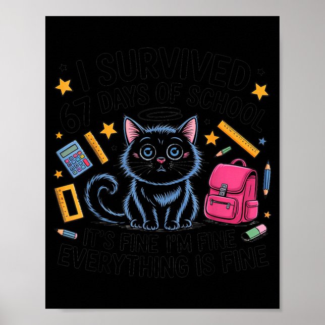Cat I Survived 67 Days Of School Teachers Students Poster (Front)