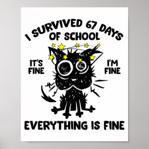 Cat I Survived 67 Days Of School Teachers Students Poster
