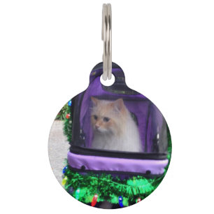 cat ID tag