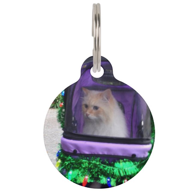 cat ID tag (Front)