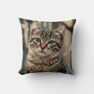 Cat Image Decorative Pillow – Cosy Living Room Dec