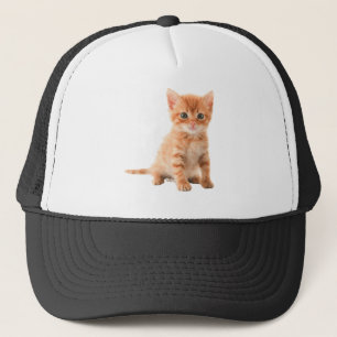 cat-image-download-picture printed products trucker hat