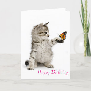 Cat image for birthday-greeting-card card