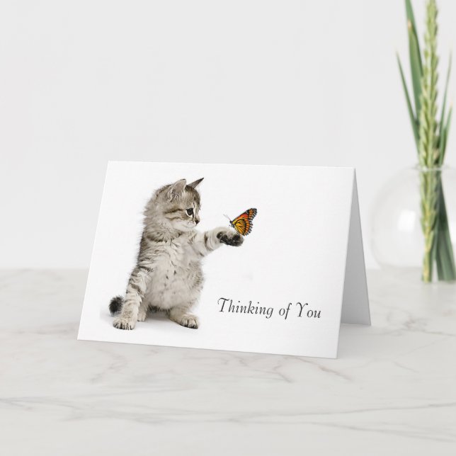 Cat image for get-well-card card (Front)