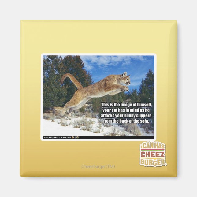 Cat image magnet (Front)