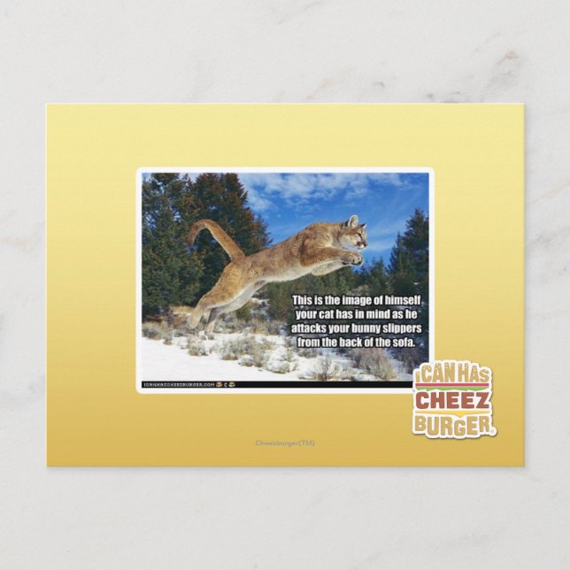 Cat image postcard (Front)